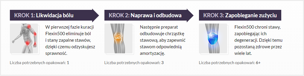 Flexin500 - tabletki na stawy