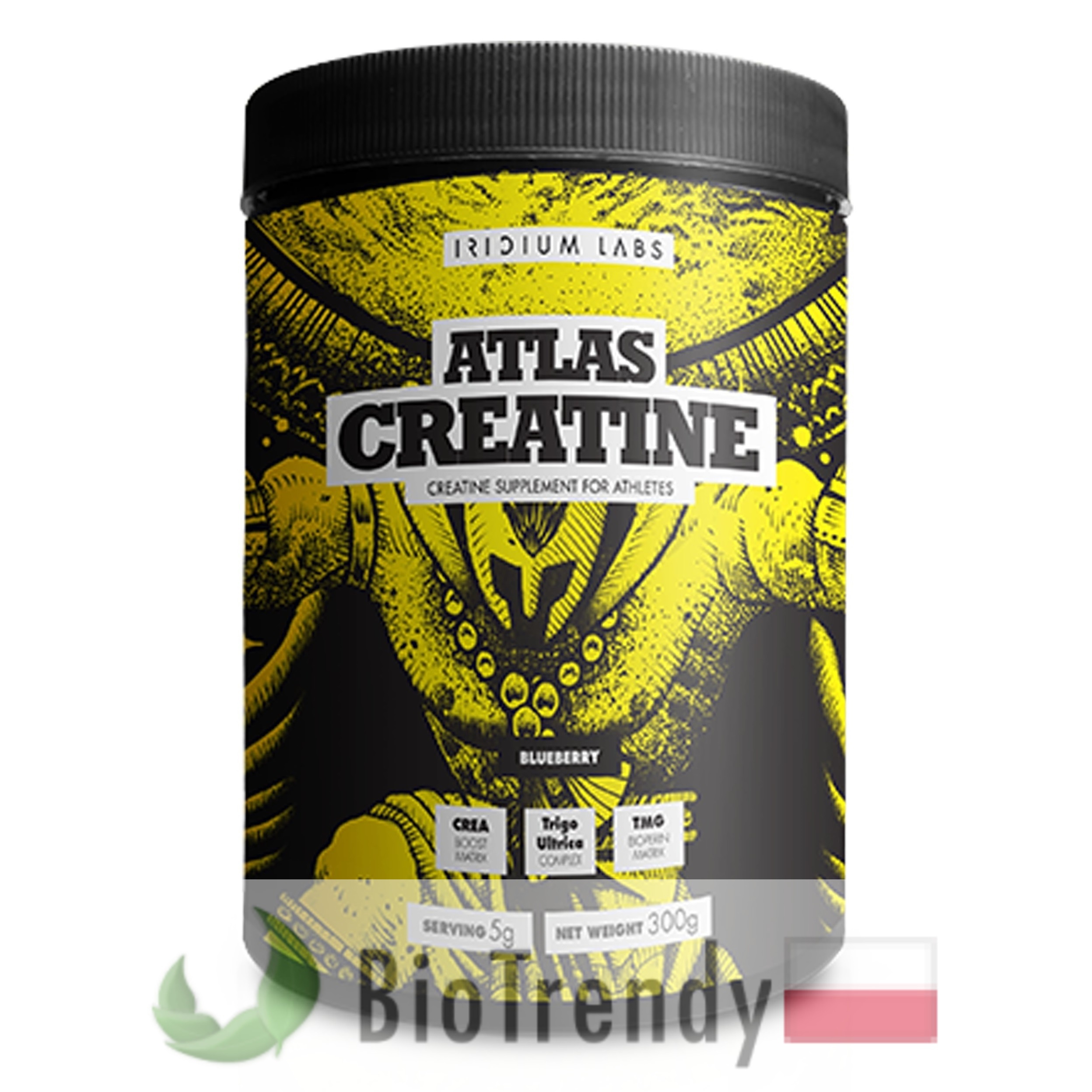 BioTrendy - Atlas Creatine PL - odzywka na przyrost masy miesniowej – odzywka na mase miesniowa