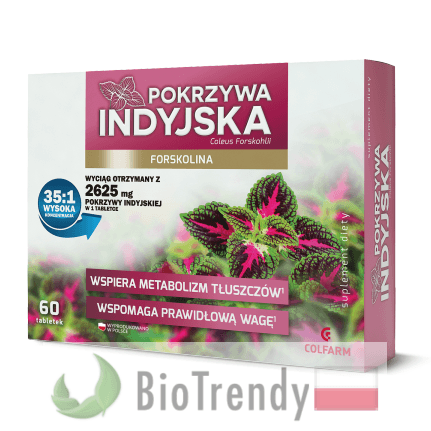 Forskolina - Forskolin - Pokrzywa indyjska - Plectranthus barbatus - Coleus Forskohlii - Forskolina opinie - Forskolina cena - pokrzywa indyjska opinie