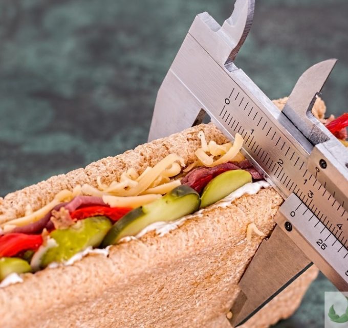 BioTrendy - Dieta Samuraja PL - na czym polega - jak stosowac