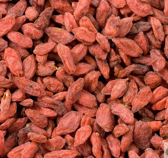 BioTrendy - Goji Berry - Kolcowój chiński (Lycium chinense) PL - właściwości i zastosowanie