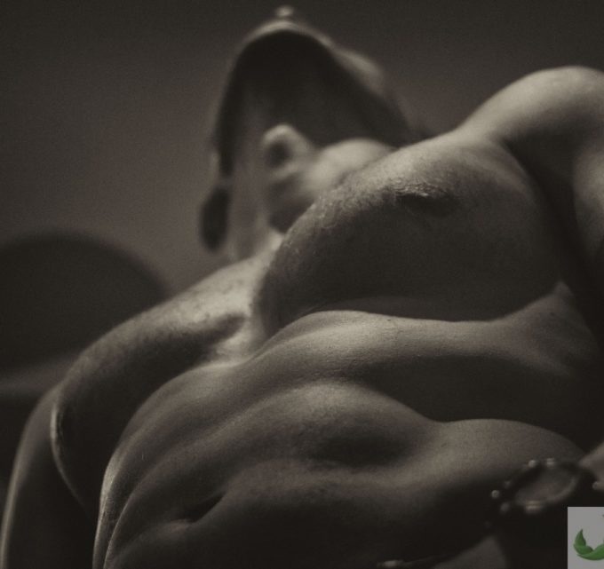 BioTrendy - Suplementacja podczas zwiększania masy mięśniowej - Jak zbudować masę mięśniową PL