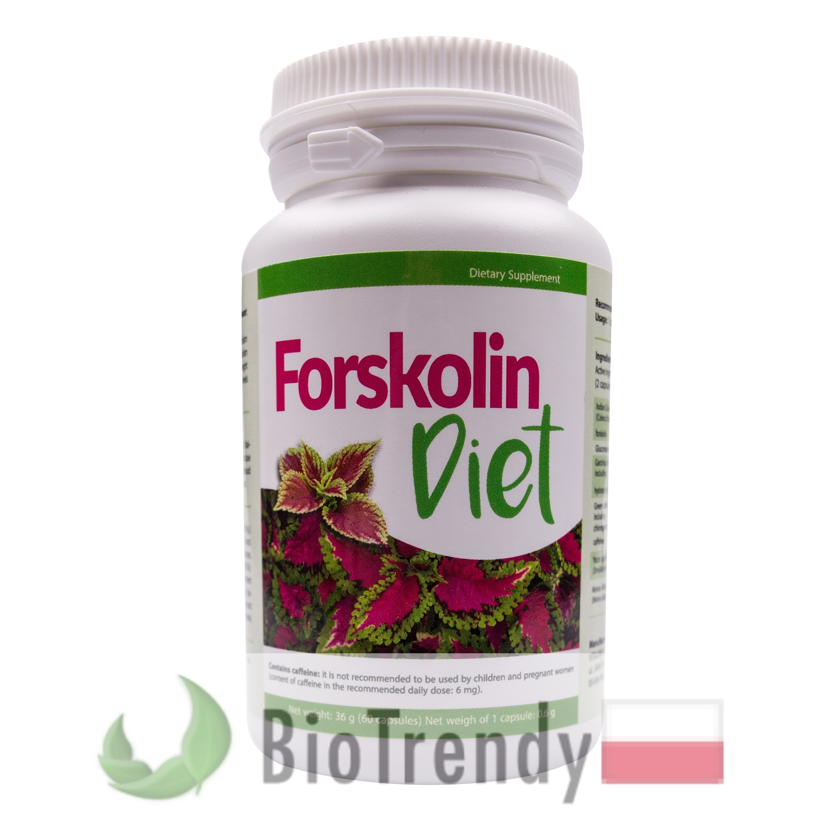 Forskolina - Forskolin - Pokrzywa indyjska - Plectranthus barbatus - Coleus Forskohlii - Forskolina opinie - Forskolina cena - pokrzywa indyjska opinie