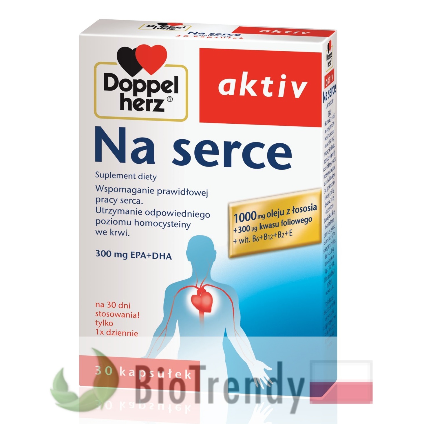 Serce - Choroby serca - miażdżyca - układ krążenia - choroby układu krążenia - układ krwionośny - choroba wieńcowa