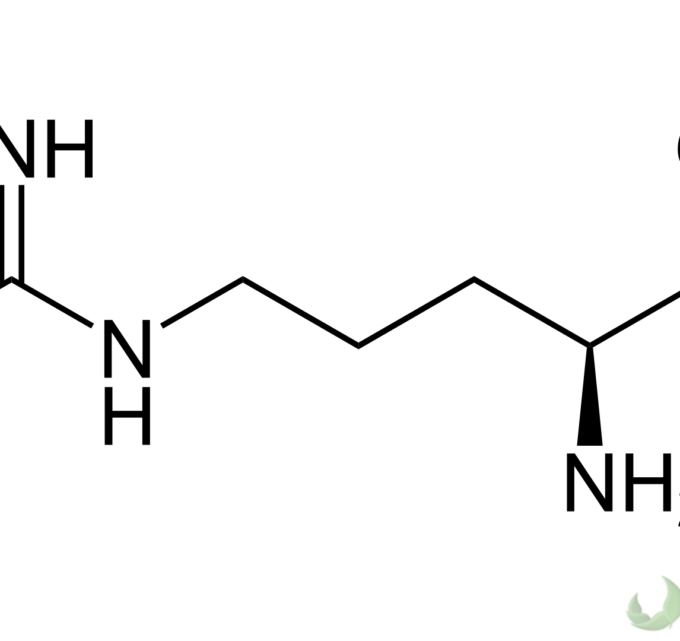 BioTrendy - L-arginina (Kwas 2-amino-5-guanidynopentanowy) PL - właściwości i zastosowanie