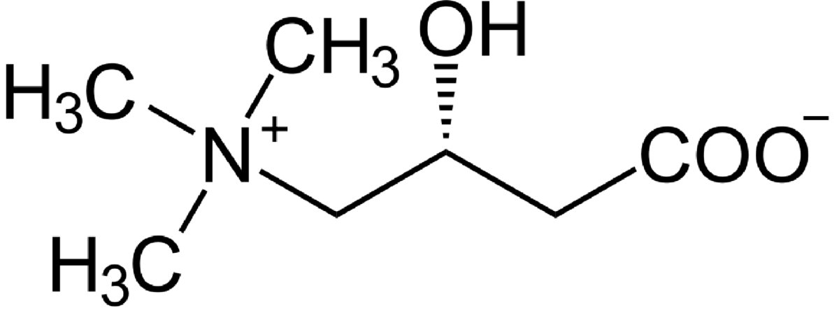 BioTrendy - L-karnityna (3-hydroksy-4-(trimetyloamonio)butanian) PL - właściwości i zastosowanie