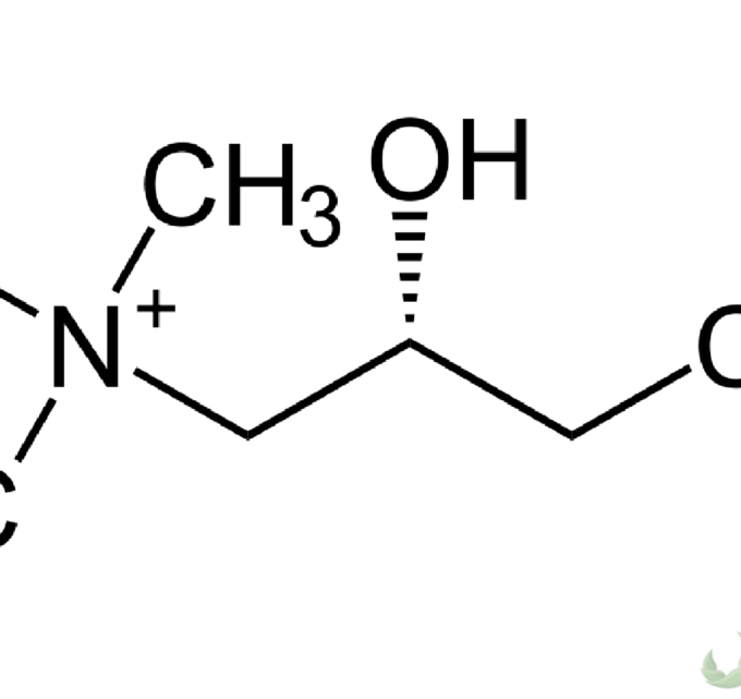 BioTrendy - L-karnityna (3-hydroksy-4-(trimetyloamonio)butanian) PL - właściwości i zastosowanie