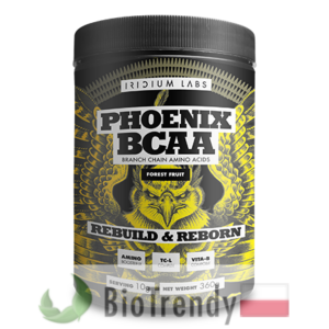 BioTrendy - Phoenix BCAA PL - odzywka na przyrost masy miesniowej – odzywka na mase miesniowa