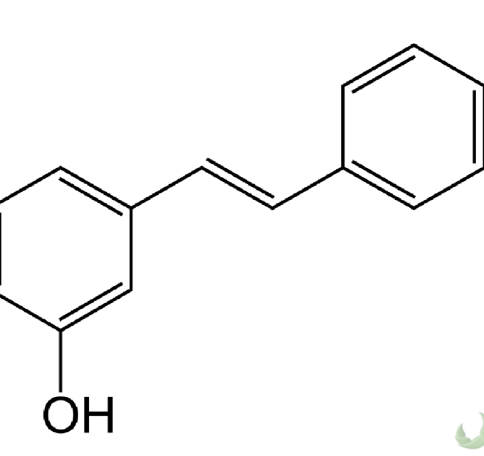 BioTrendy - Resweratrol ((E)-3,5,4'-trihydroksystilben) PL - właściwości i zastosowanie