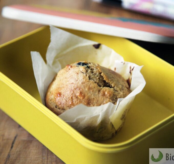 BioTrendy - W co zapakować drugie śniadanie PL Lunchboxy dla dorosłych i dzieci