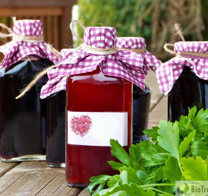 BioTrendy - PL - Soki, dżemy i syropy - przetwory