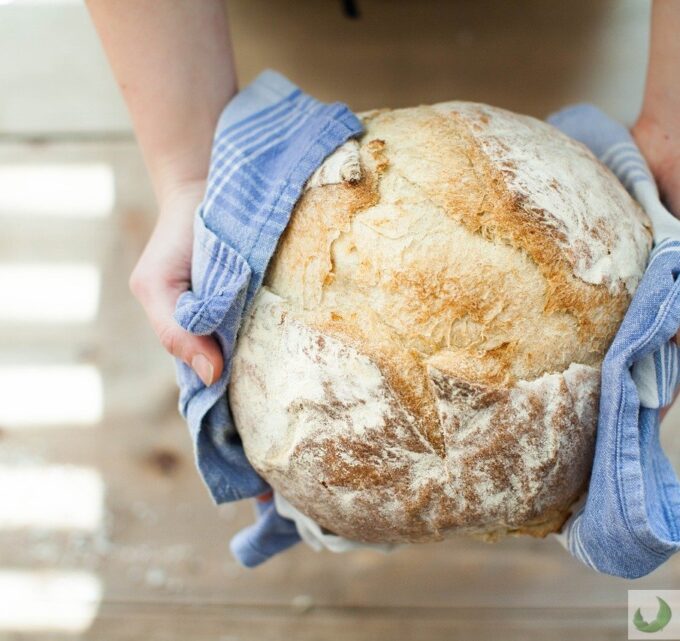 BioTrendy - PL - Chlebak, czyli jak nie marnować pieczywa