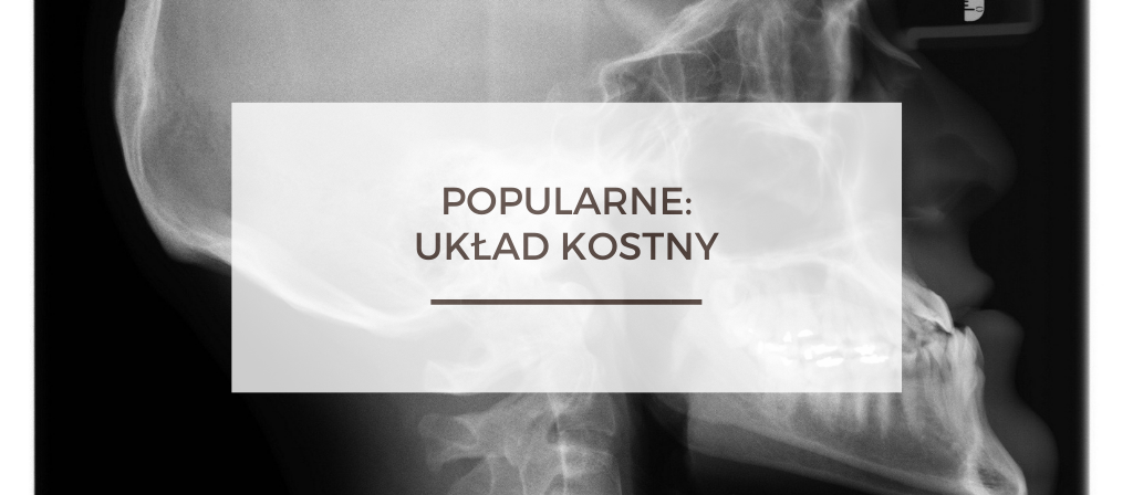 BioTrendy - Popularne - Układ kostny