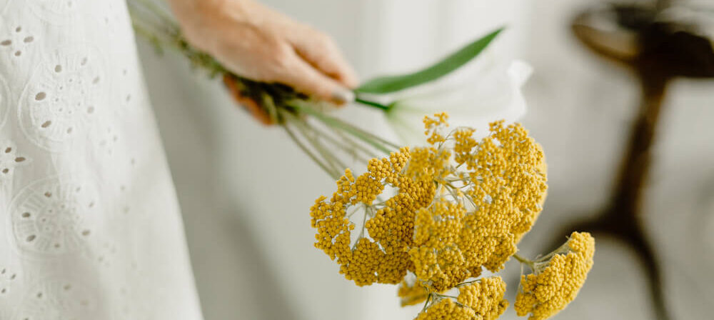 BioTrendy - Wrotycz pospolity - odkrywamy historię i zastosowanie tej rośliny