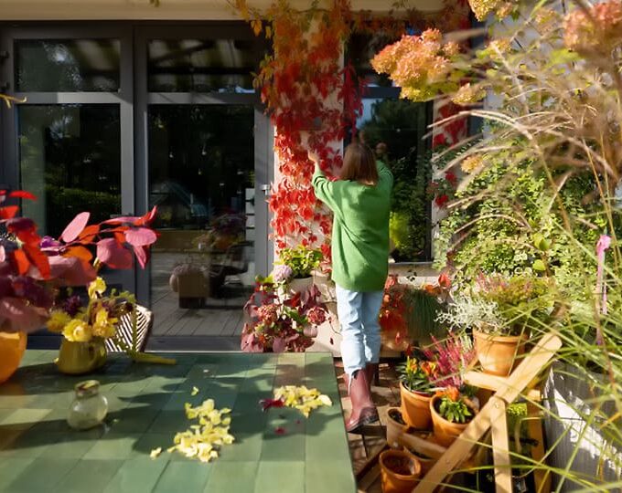 BioTrendy - Dom przyjazny alergikom