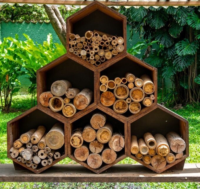 BioTrendy - Jak żyć ekologiczniej? Co zrobić, by być bardziej eko?