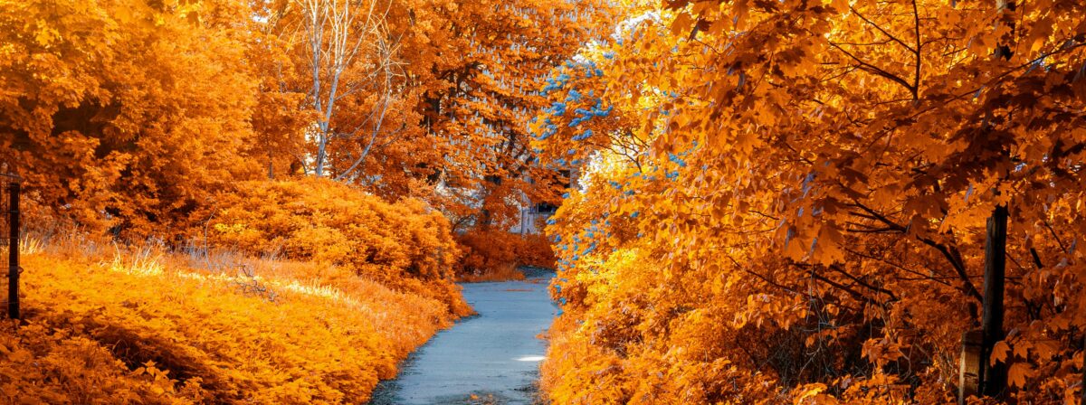 BioTrendy - Jesienny spadek motywacji – jak sobie z nim poradzić