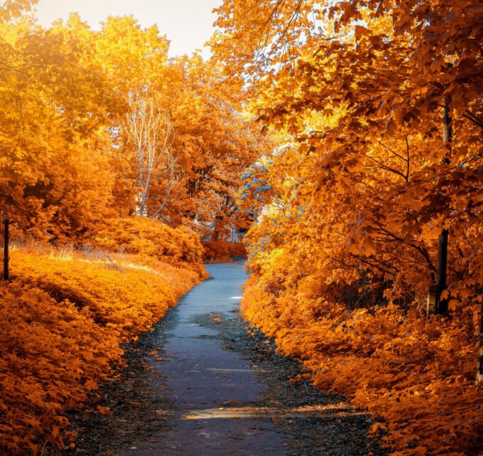 BioTrendy - Jesienny spadek motywacji – jak sobie z nim poradzić